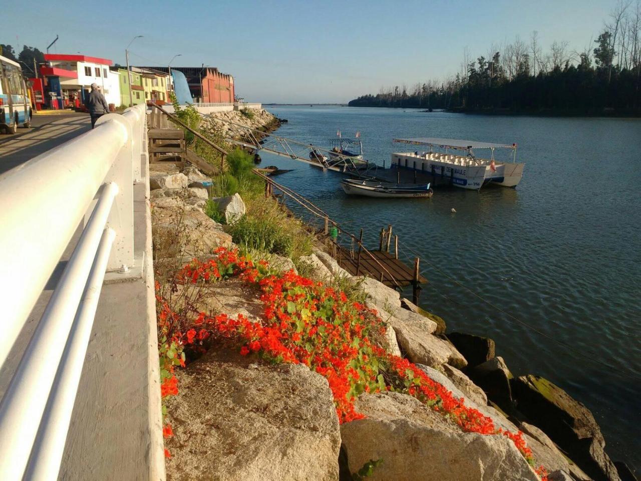 Refugio Guanay Homestay Constitucion
